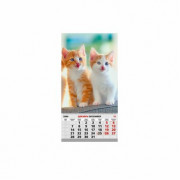 Отрывной Одинарный 30х40см